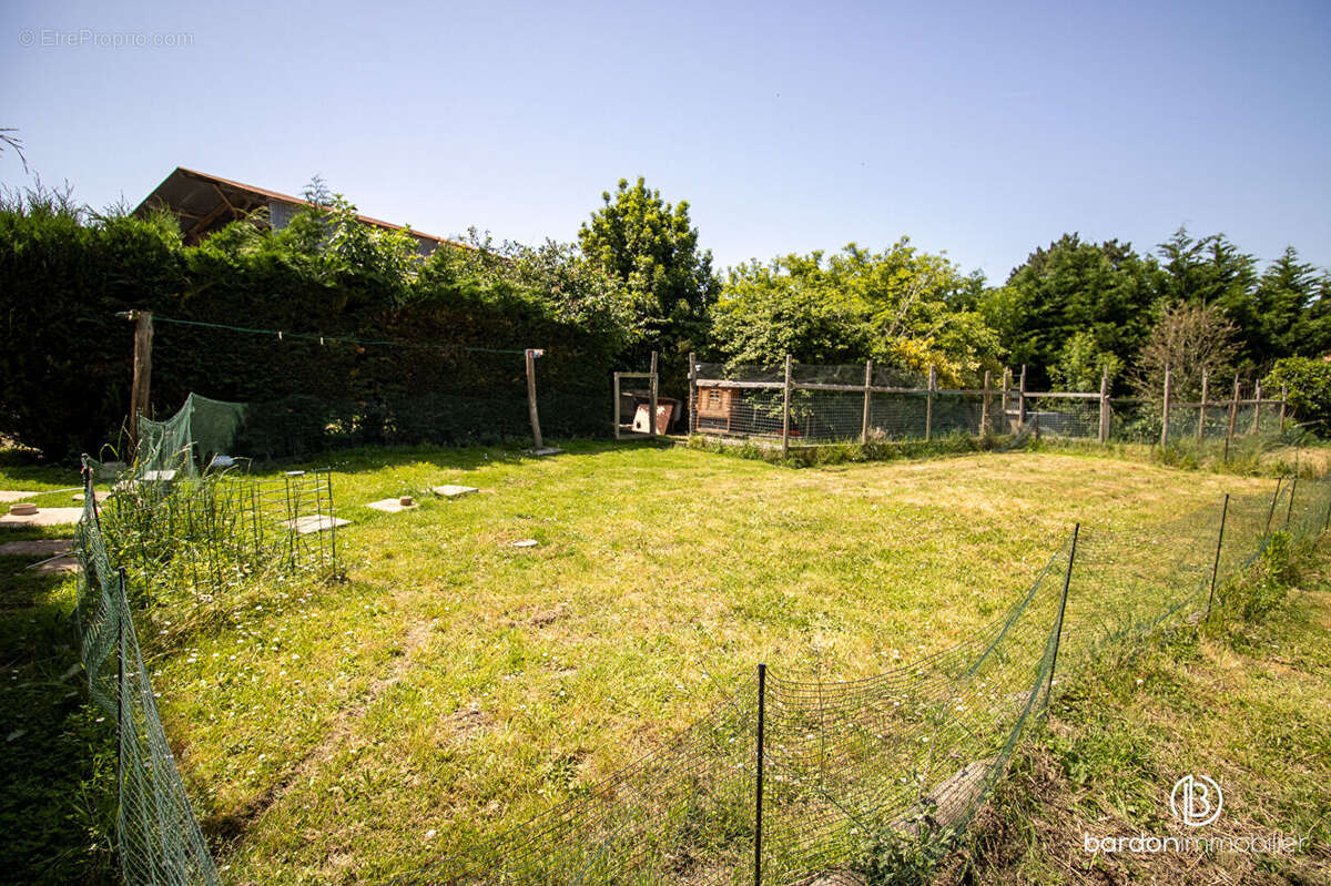 Terrain à BOIS-DE-CENE