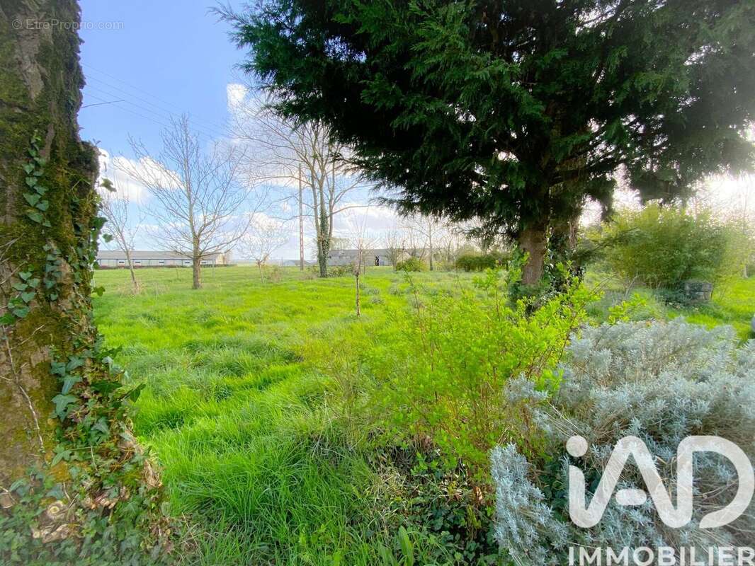 Photo 3 - Maison à JUGON-LES-LACS