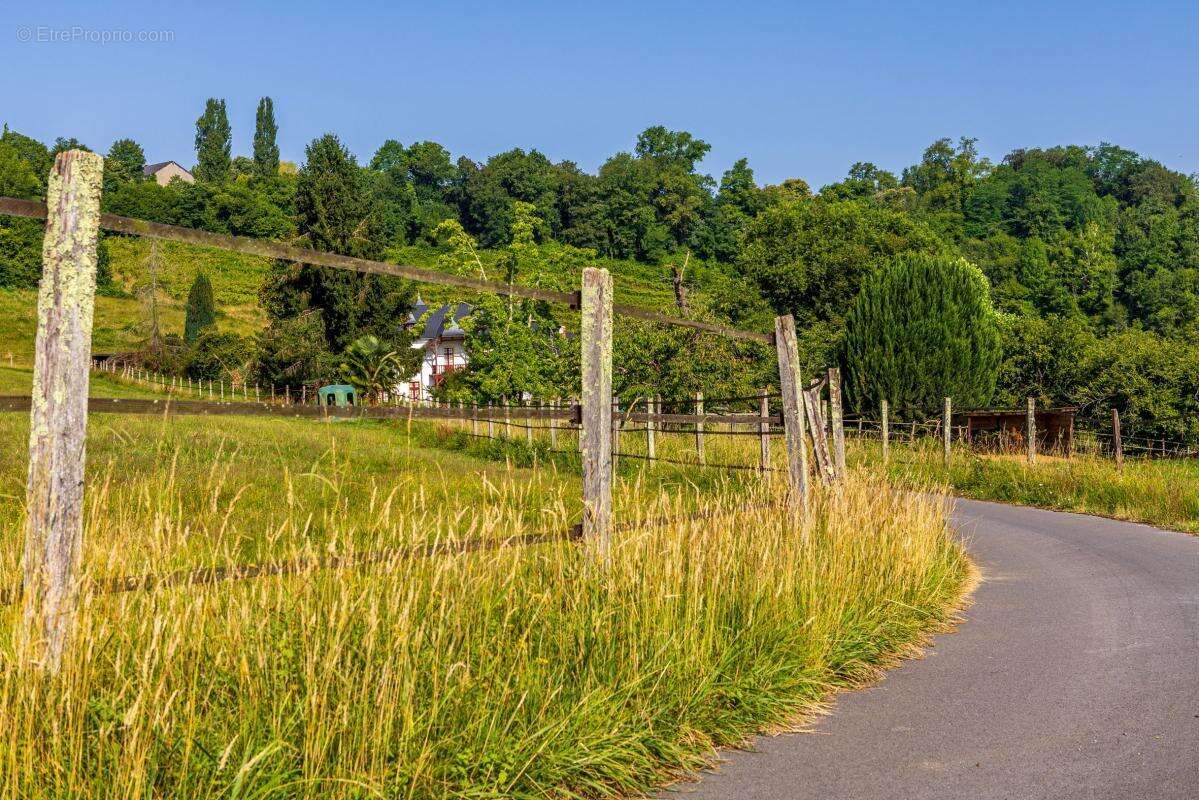 Superbe propriété équestre sur les coteaux de Jurançon – - photo 26