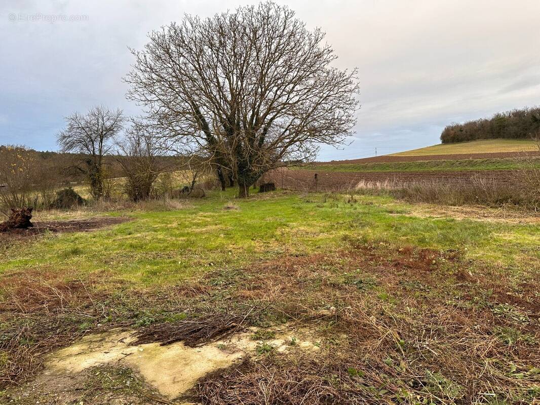 Terrain à VALPUISEAUX