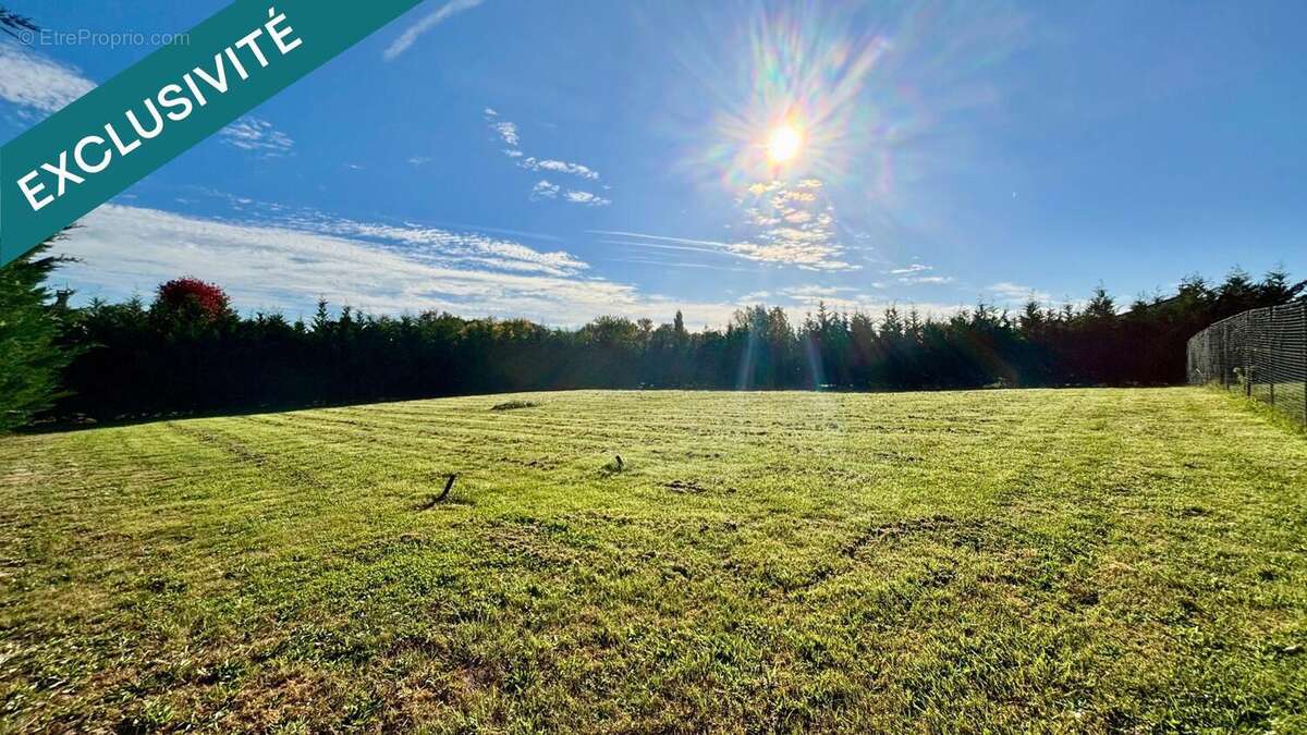 Photo 3 - Terrain à FRONTON