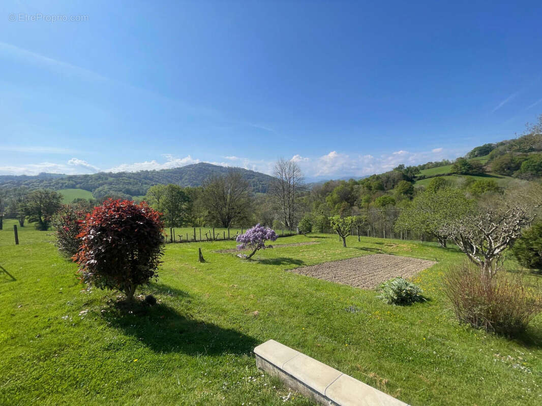 IMG_9123 - Maison à OLORON-SAINTE-MARIE