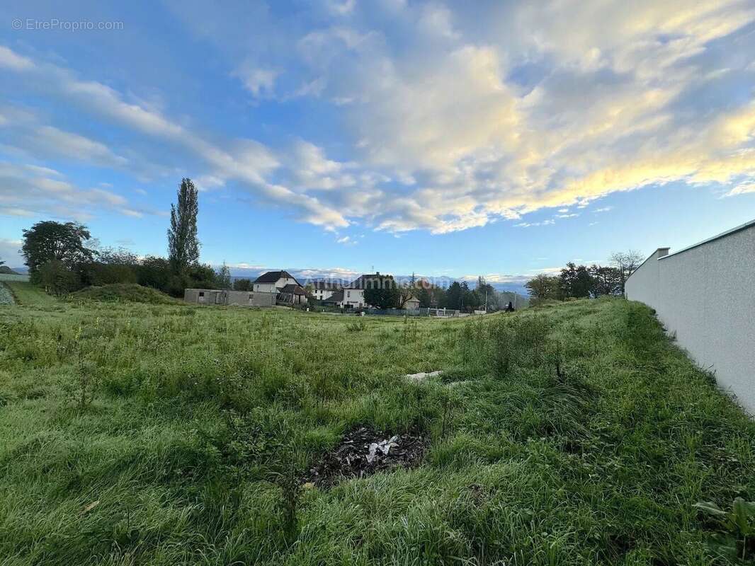 Terrain à VEZERONCE-CURTIN