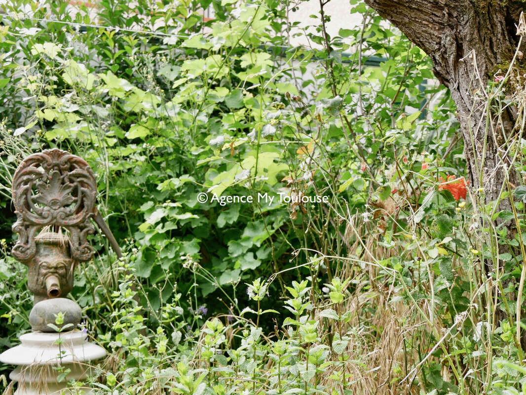 Maison à TOULOUSE