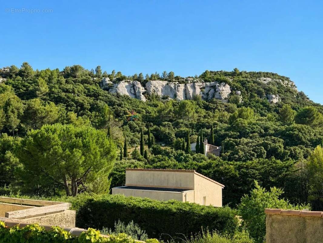 Les Baux-de-Provence – Maison de caractère avec vue sur les Alpilles - photo 20