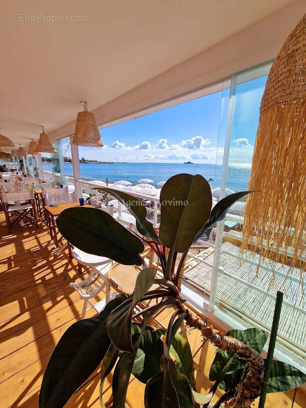 Commerce à CAGNES-SUR-MER