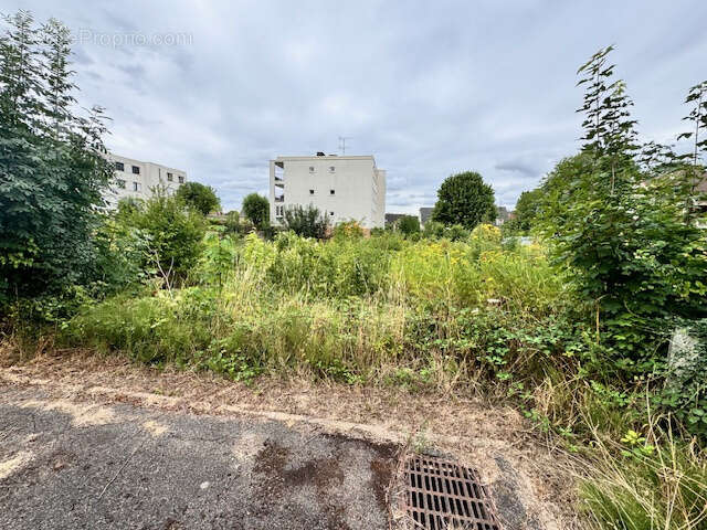 Terrain à VENDRE - photo 2