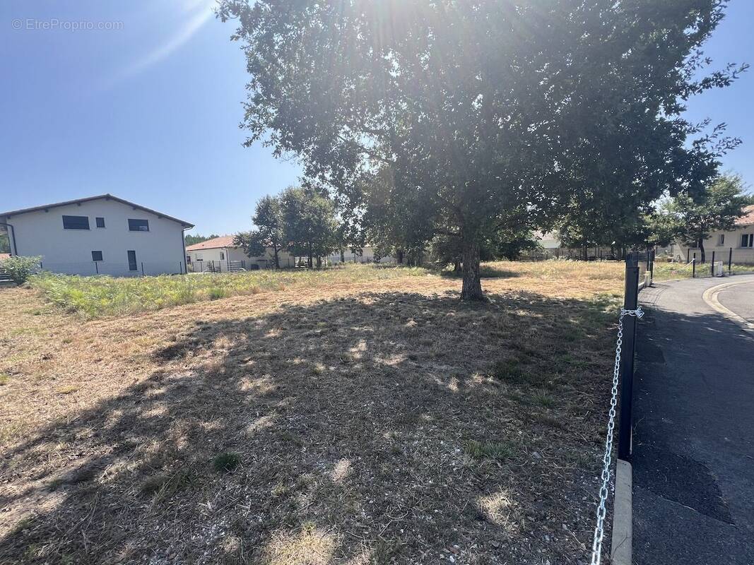 Terrain à VIELLE-SAINT-GIRONS