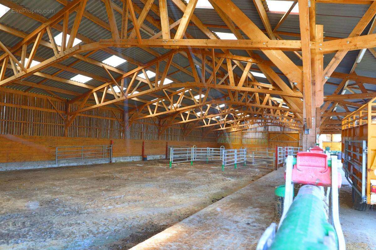 EXCLUSIF Propriete agricole avec 7 hectares possible 70 hectares en location - photo 5