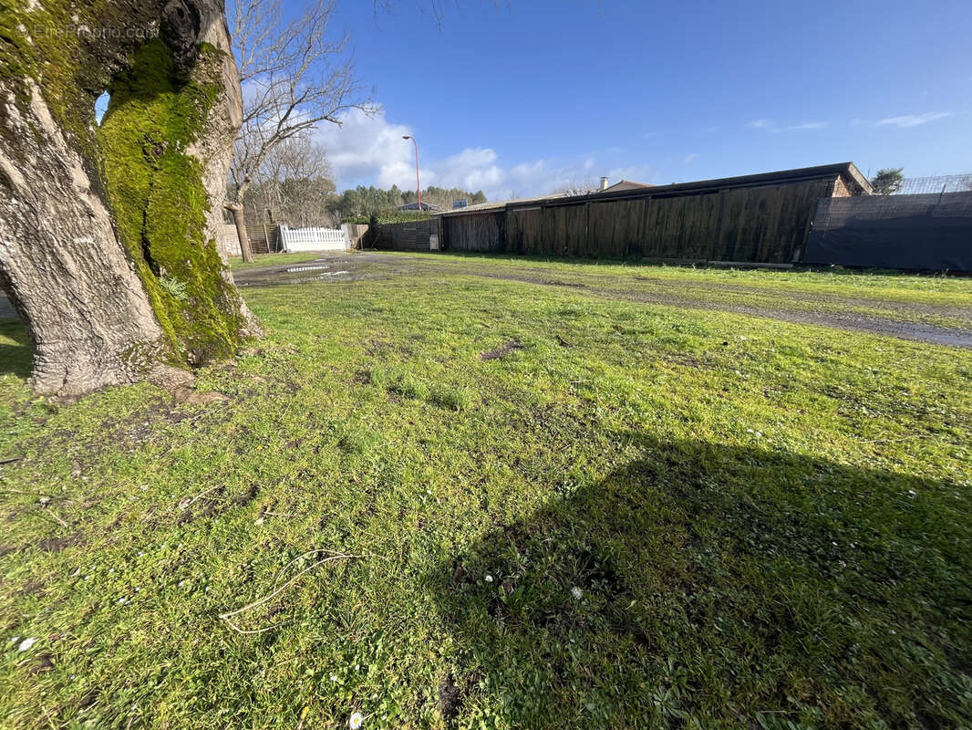 Terrain à LE TEMPLE