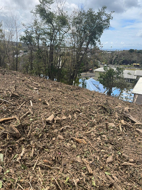 Terrain à RIVIERE-SALEE