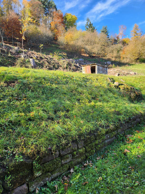 Maison à WANGENBOURG-ENGENTHAL