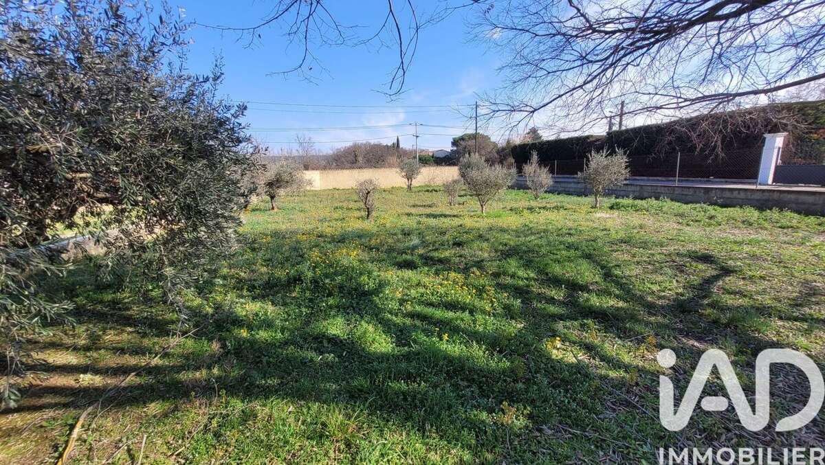 Photo 5 - Terrain à MORIERES-LES-AVIGNON