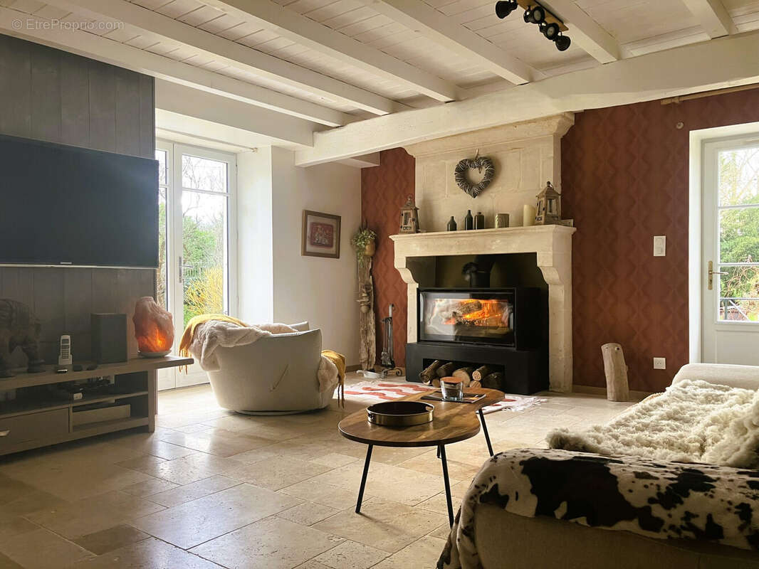 Maison 179 m² à Saint-Hilaire-La-Palud  - photo 5