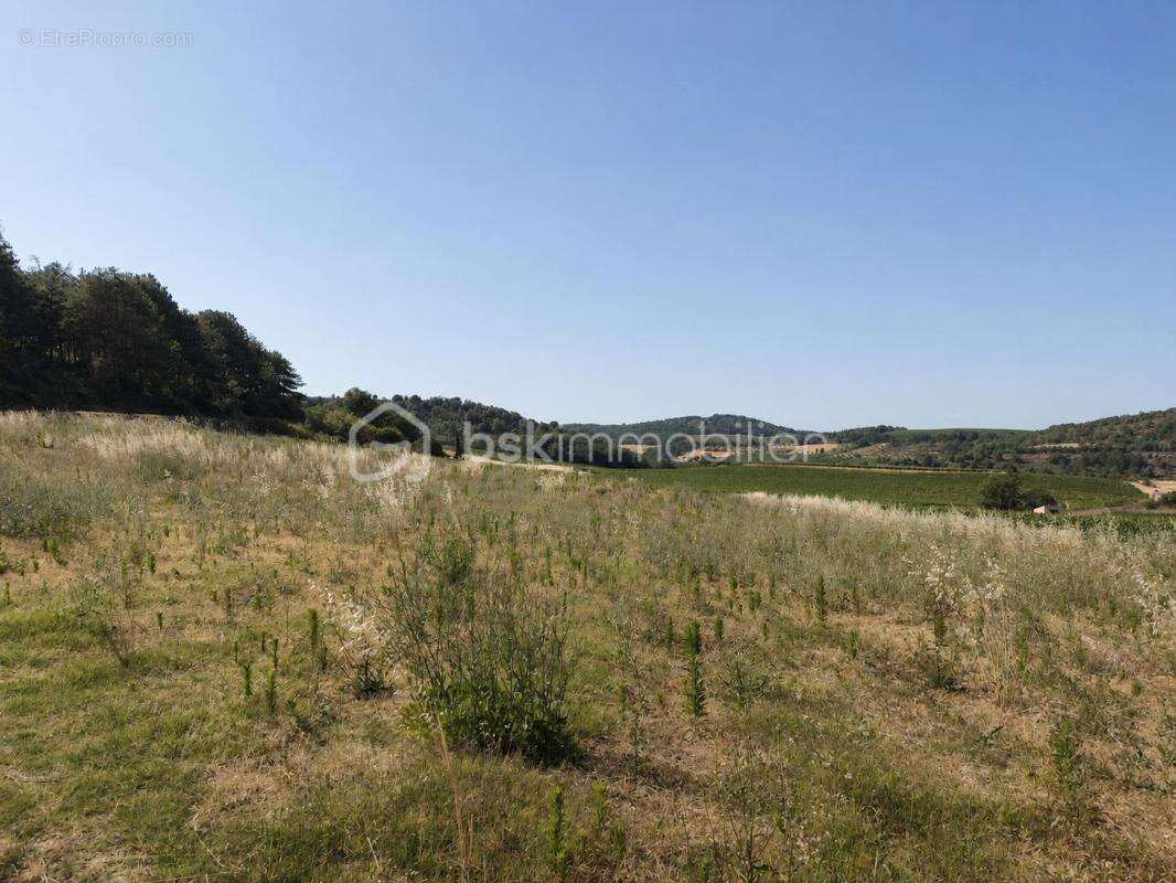 Terrain constructible 1 600 m² + 8 575 m² de terrain naturel – Proche Limoux - photo 8