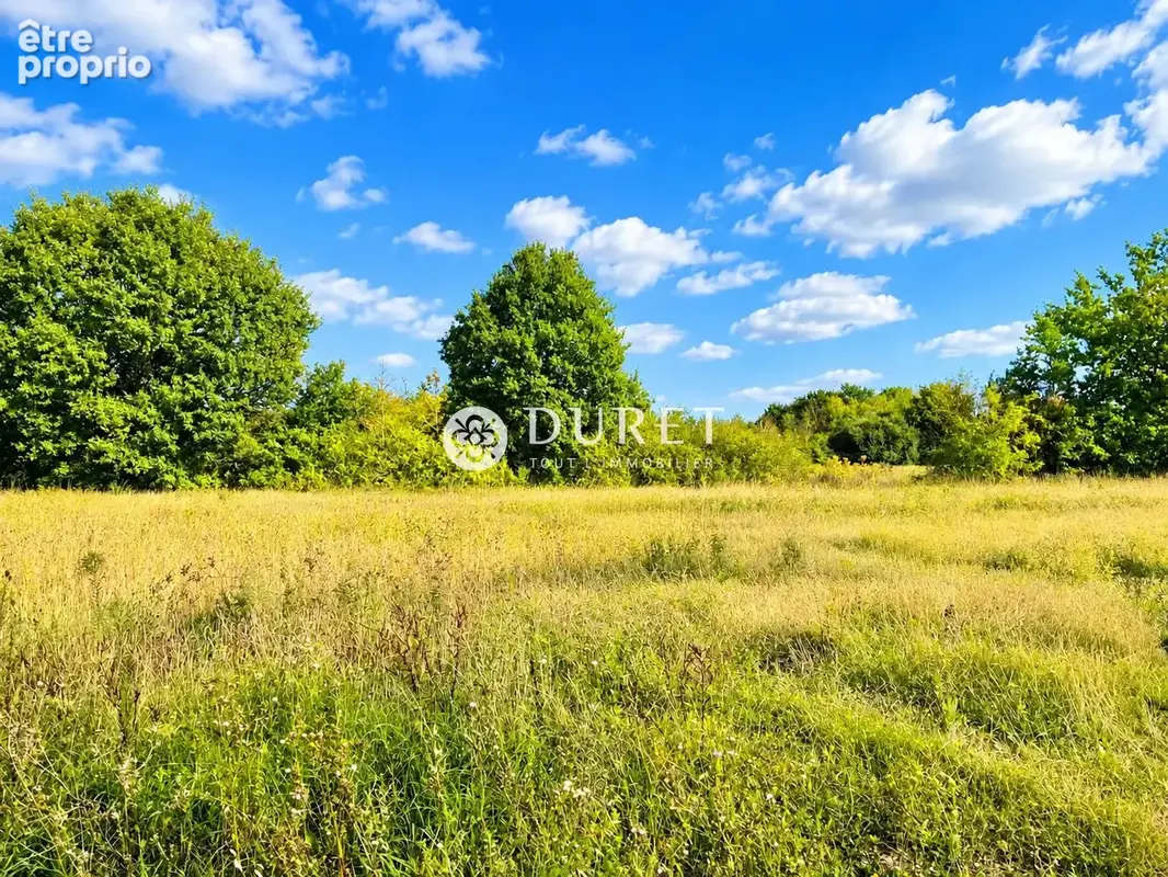 Commerce 6 181 m² à vendre à Falleron (85670) - photo 2