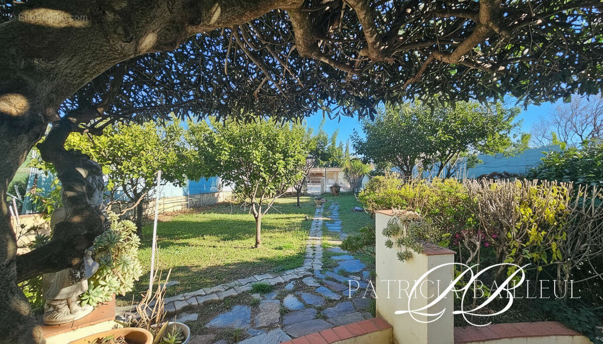 Maison à ILLE-SUR-TET