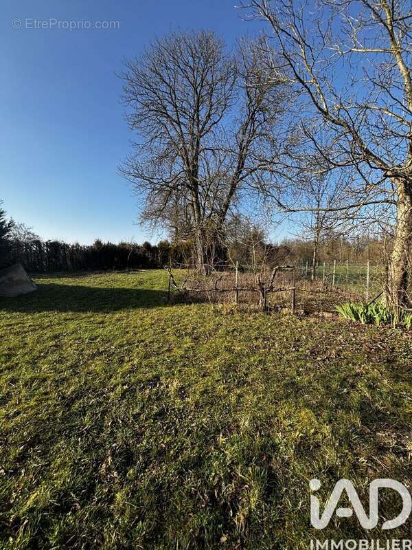 Photo 2 - Terrain à ANGLURE