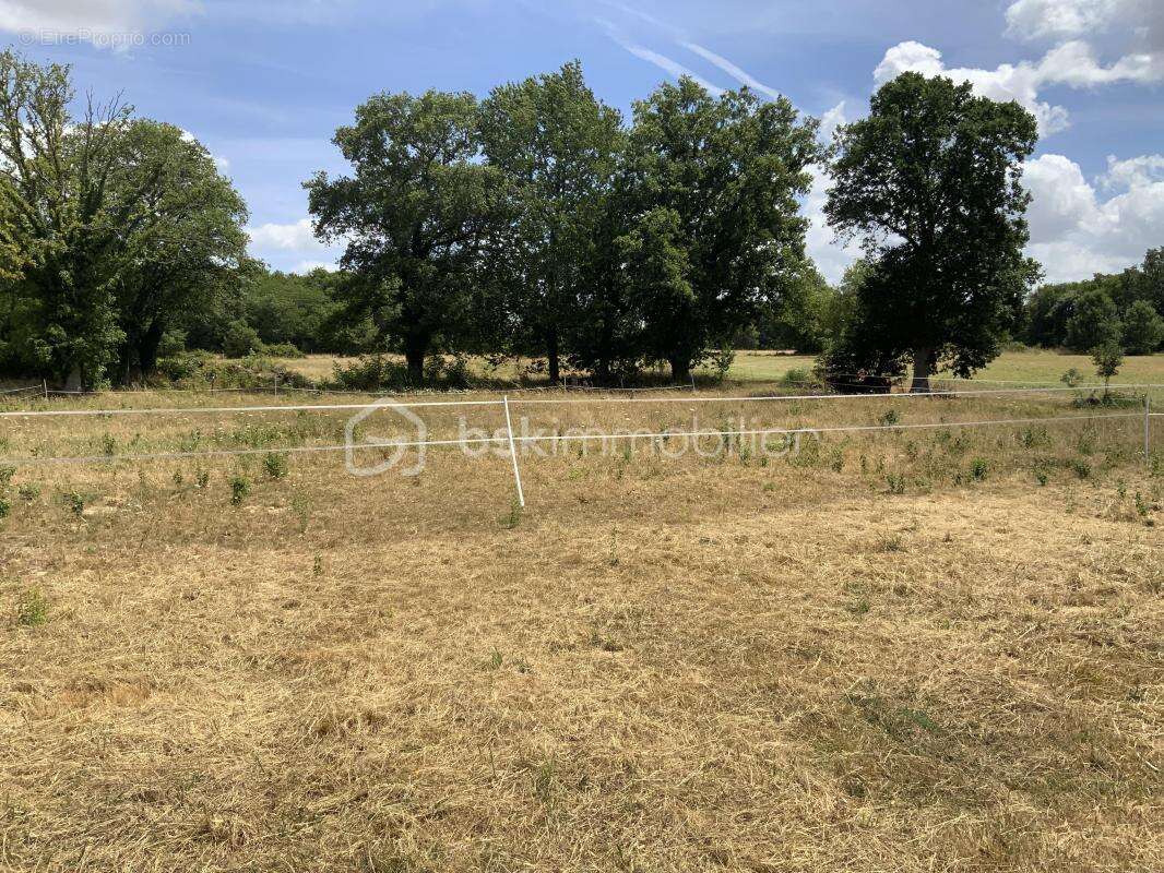 Terrain à SAINT-GILDAS-DES-BOIS