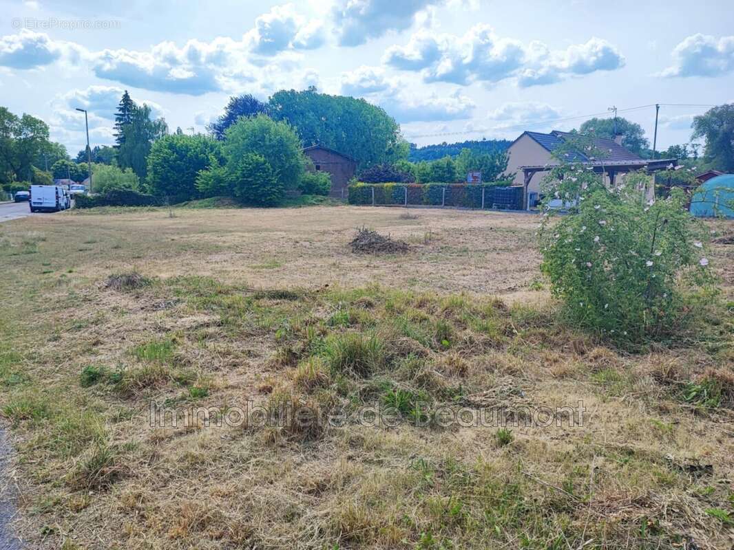 Terrain à NASSANDRES