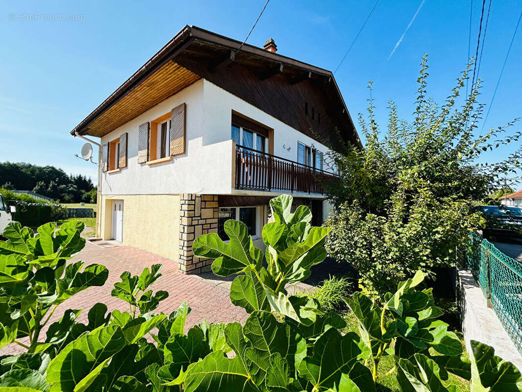 Maison à SAULCY-SUR-MEURTHE