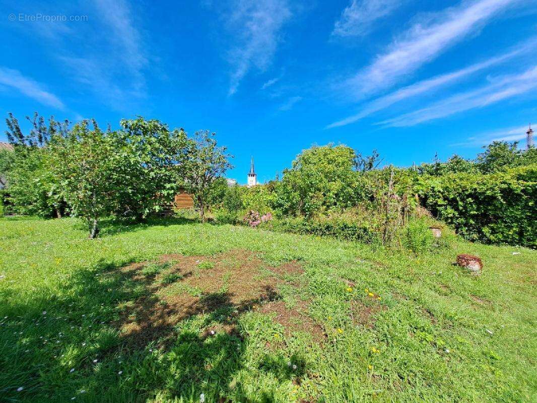Terrain à L&#039;ILE-D&#039;OLONNE