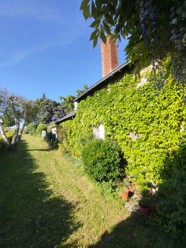 Maison à CHAUDEFONDS-SUR-LAYON
