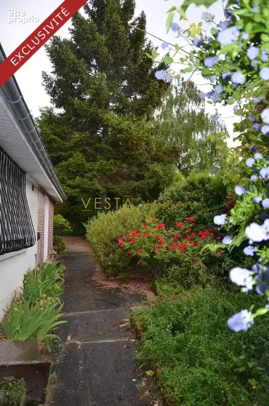 jardin - Maison à MONTREUIL