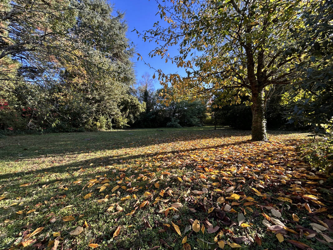 Terrain à LE LOROUX-BOTTEREAU