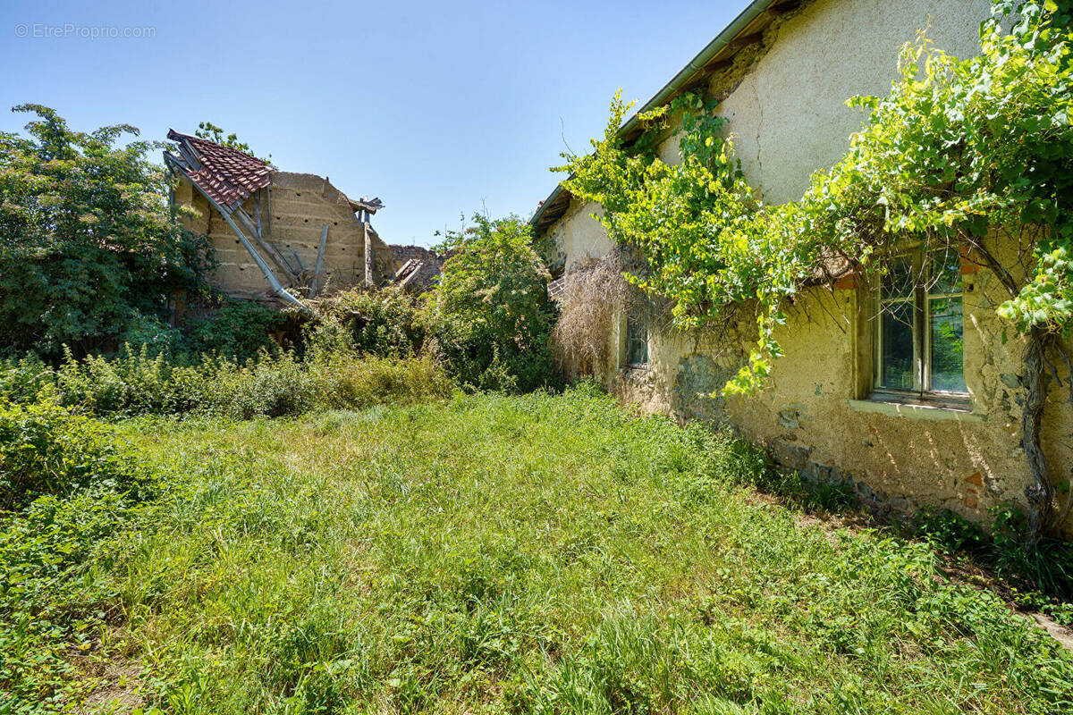 Maison à SAINT-PIERRE-LE-VIEUX