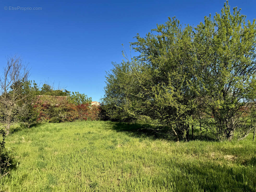Terrain à UZES