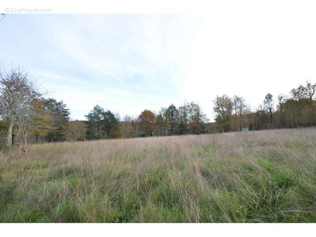 Terrain à SAINT-JEAN-D&#039;ATAUX