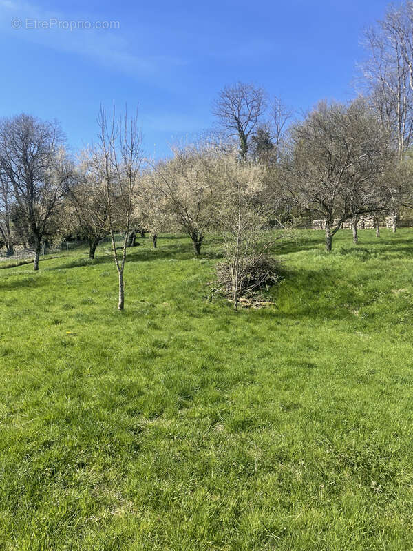 Terrain à RAIVAL