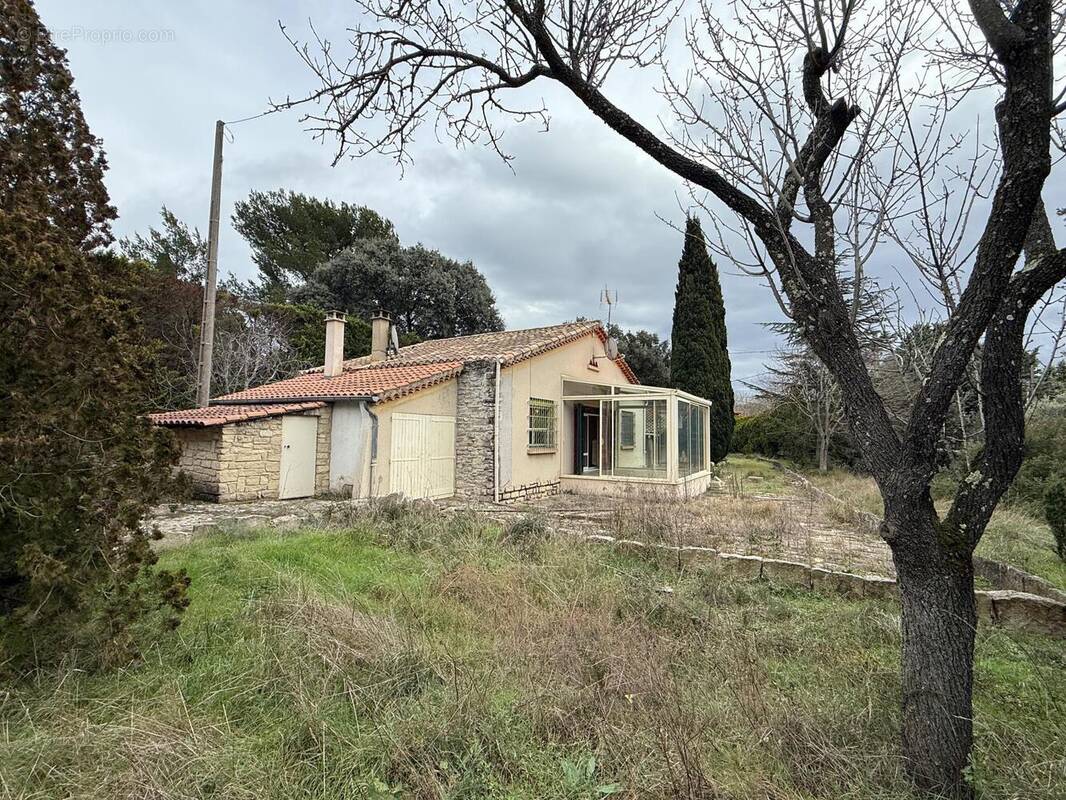 Photo 1 - Maison à L'ISLE-SUR-LA-SORGUE