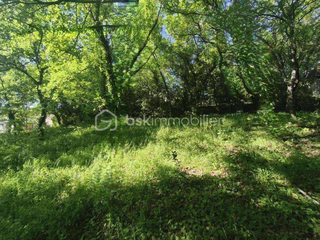 Terrain à REILLANNE