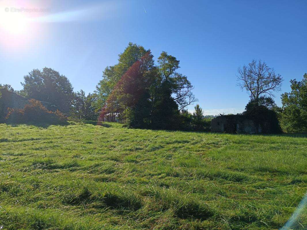 Terrain à MONTDURAUSSE