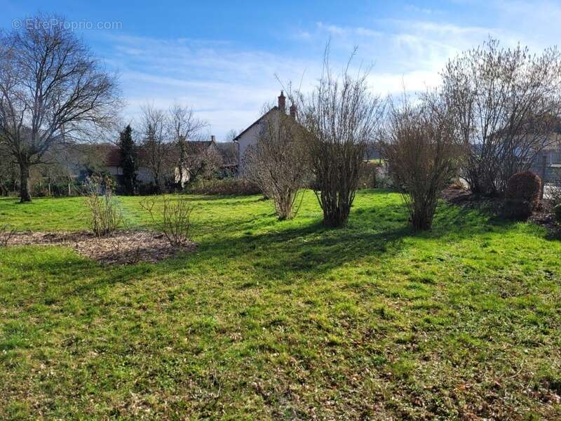 Dpt allier (03) foret de troncais - proche lurcy levis - maison 4 pieces - potager - arbres fruitiers - terrain 3871 m2 - photo 5