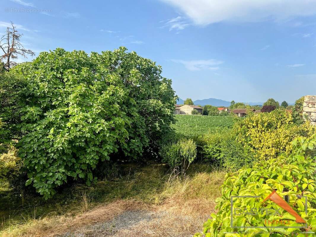 EXCLUSIVITÉ  Ancienne Commingeoise avec jardin clos et arboré - photo 10