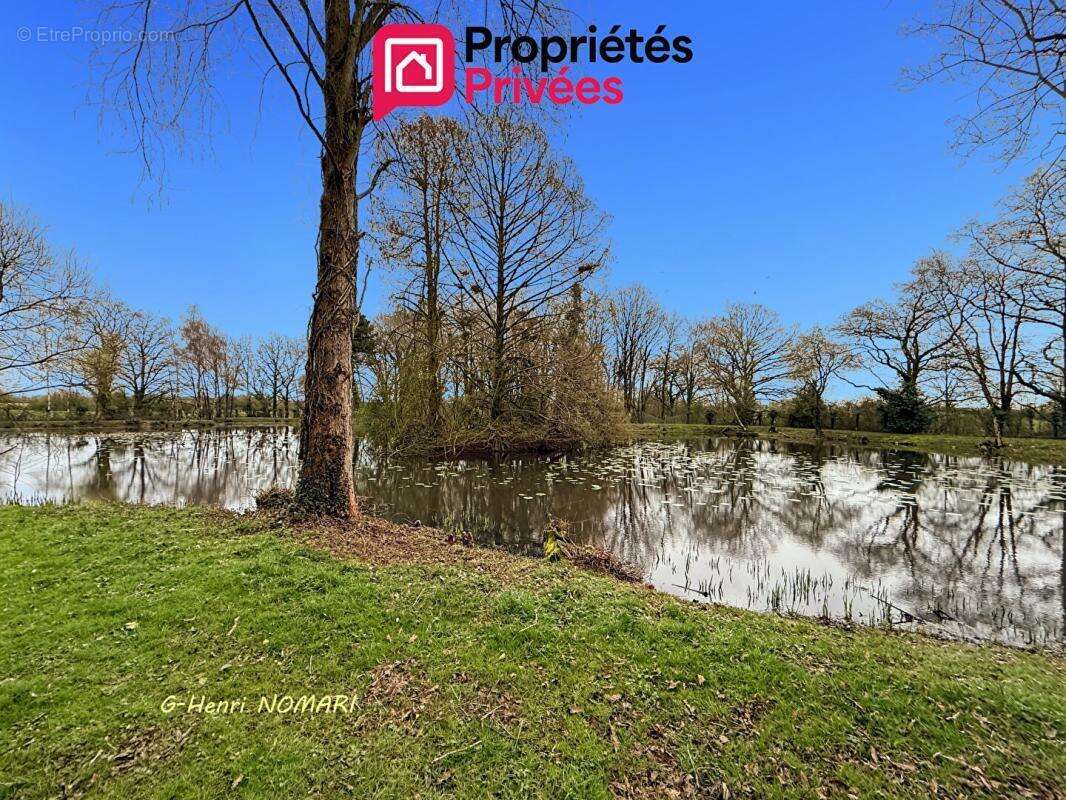 Terrain à MARTIGNE-FERCHAUD