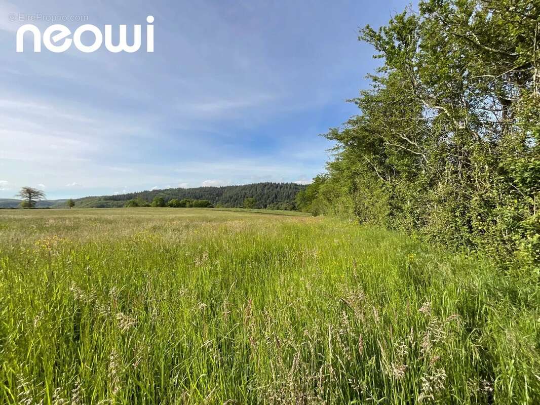 Terrain à ROANNES-SAINT-MARY