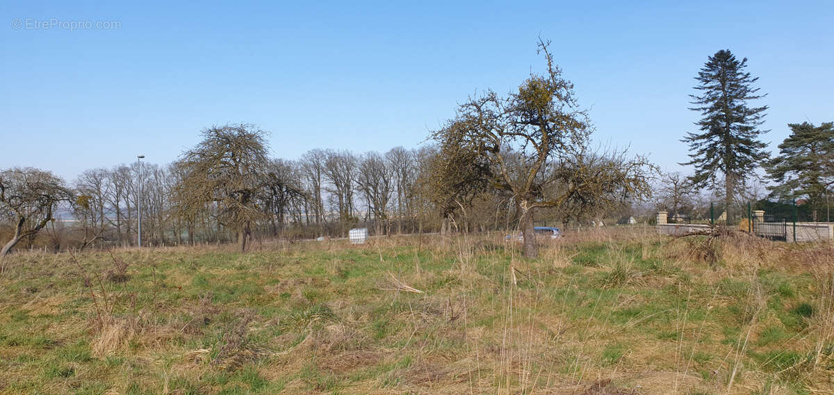 Terrain à FERE-EN-TARDENOIS