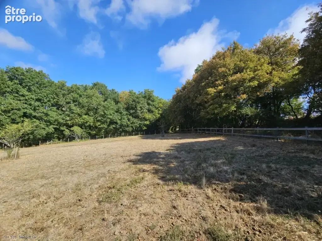 Maison Exceptionnelle avec Petite Equestre, Prairie Clôturée, Grand Terrain et Vues Magnifiques ! - photo 31