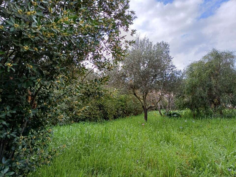 Terrain à LA CRAU