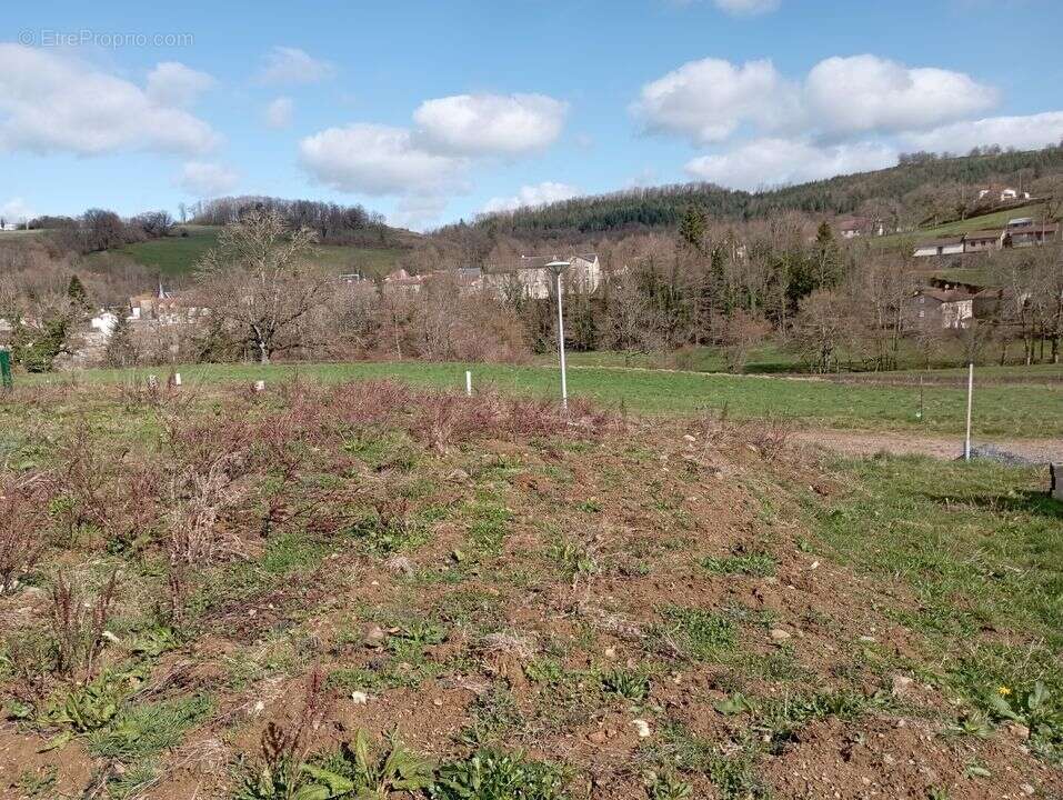 Terrain à FERRIERES-SUR-SICHON