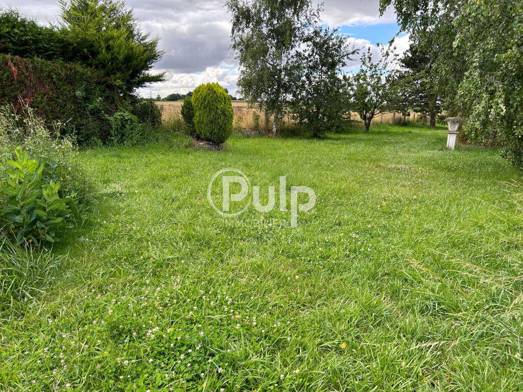 Maison à ARLEUX-EN-GOHELLE