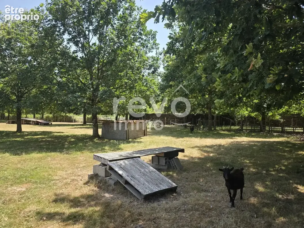 Propriété de charme avec piscine chauffée sur parcelle de + de 8000m² - photo 9