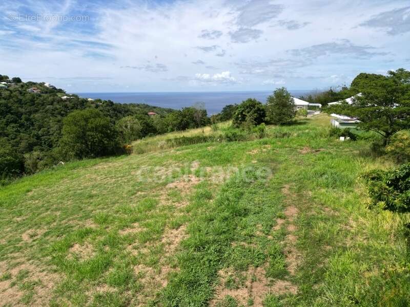 Terrain à LE CARBET
