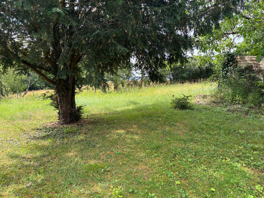 Exclusivité,   CANGEY   À proximité d’Amboise   Maison à rénover avec jardin, dépendance et beau potentiel - photo 5