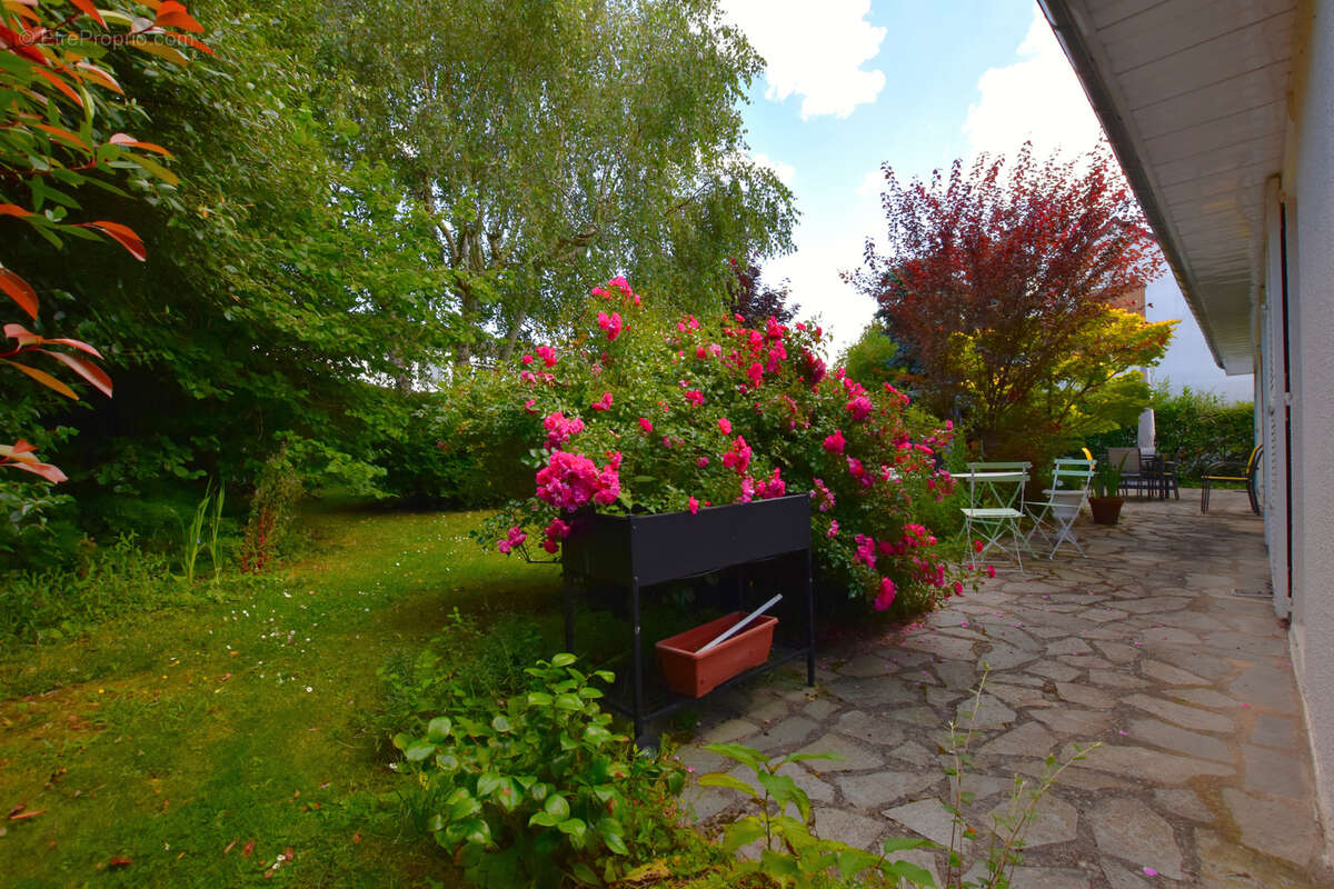 Maison à LES ESSARTS-LE-ROI