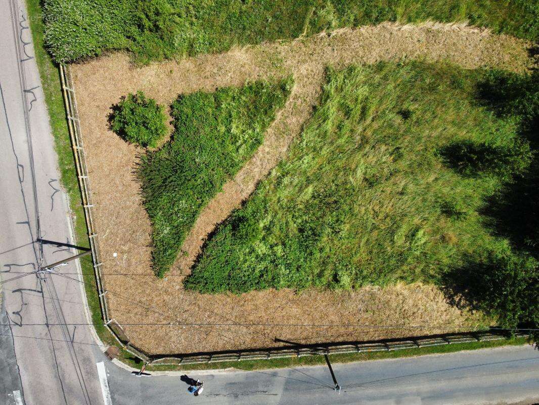 Terrain constructible arboré de 2 896 m² dans un environnement privilégié - La Madeleine de Nonancourt - photo 5